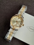 Fossil Scarlette Three Hand Date 33mm Women Quartz Watch 
ES4949 (Without Tag)
