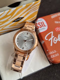 Fossil Dayle Women's Three-Hand Two-Tone Stainless Steel Watch - BQ3886